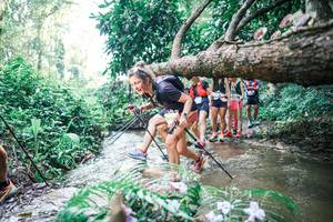 BIB: 
                            <button type="button" onclick="openModal(25453751)" class="btn btn-primary btn-sm float-right btn-popup" data-toggle="modal" data-target=".modal-high-quality">
                        <i class="fas fa-shopping-cart"></i> Add to Cart
                    </button>
                                            <button type="button" onclick="isThisMe(25453751, true)" class="btn btn-success btn-sm float-right btn-popup btn-isme hidden" data-toggle="tooltip" data-placement="bottom" title="นี่คือรูปของคุณใช่ไหม คลิกที่นี่เพื่อเอาเข้าอัลบั้ม">
                        <i class="fas fa-plus"></i> Add to album
                    </button>
                    <button type="button" onclick="isThisMe(25453751, false)" class="btn btn-warning btn-sm float-right btn-popup btn-isnotme hidden">
                        <i class="fas fa-ban"></i> Remove from album
                    </button>